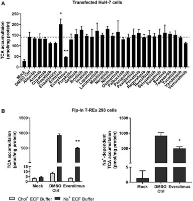 Effect of mTOR inhibitors on sodium taurocholate cotransporting polypeptide (NTCP) function in vitro